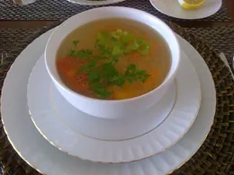 Tavuk Suyu Çorba